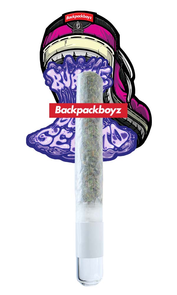 Backpack Boyz Handroll 1G - Bubblegum Gelato - The Flowery Shop