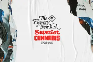 The Green Borough is About to Get Greener