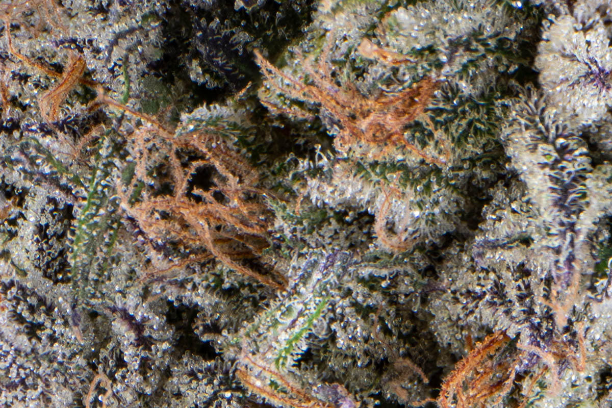 【CHERRY様オーダーページ】 Cherry＊様オーダーページ② 【公式通販】