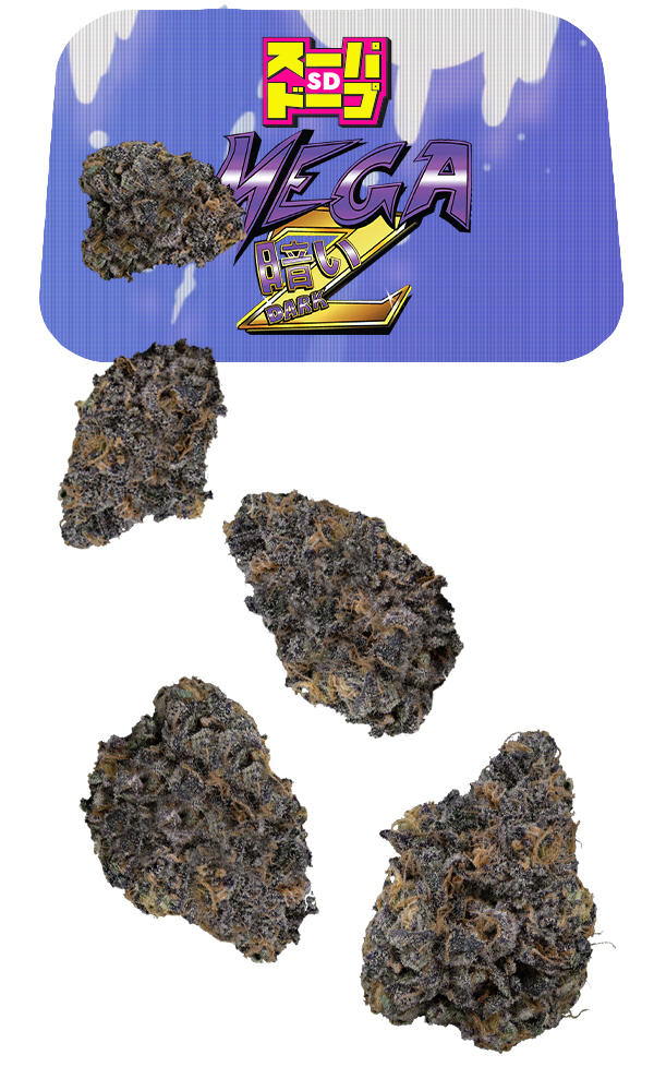 SD Mega Z Dark 7g Juniors - The Flowery Shop