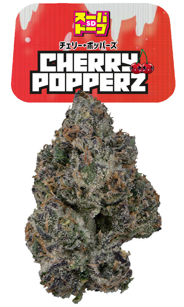 SD Cherry Popperz Eighth - The Flowery Shop