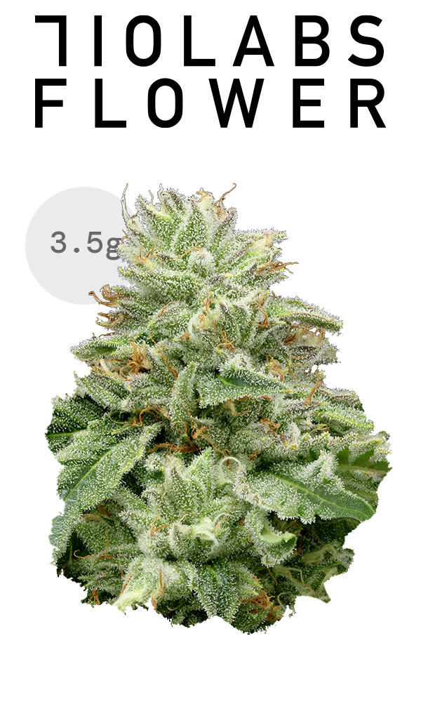 VEY カンミン ポラ vey カンミン ポラ vey カンミン ポラ VERIVERY カンミン ポラ VIXXの