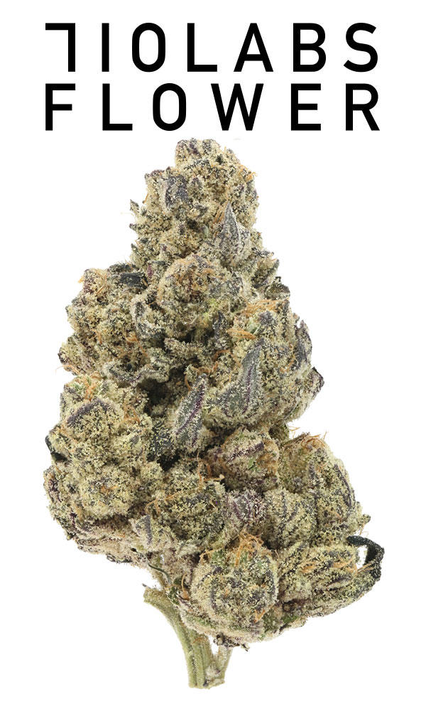 710 Labs 14g Flower - Tupac Pure Kush #1 - The Flowery Shop