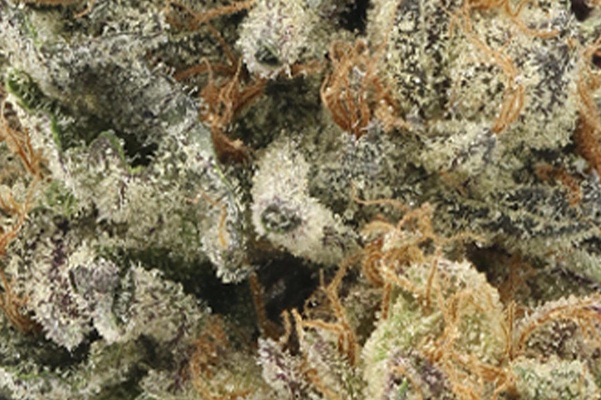 710 Labs 3.5g Flower - Cherry Zest #4 - The Flowery Shop