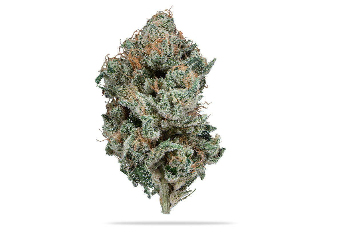 【THXE JOINT 】THXE LIVELINE-OG KUSH＋ 10本 silver-stem-og-kush-indica-
