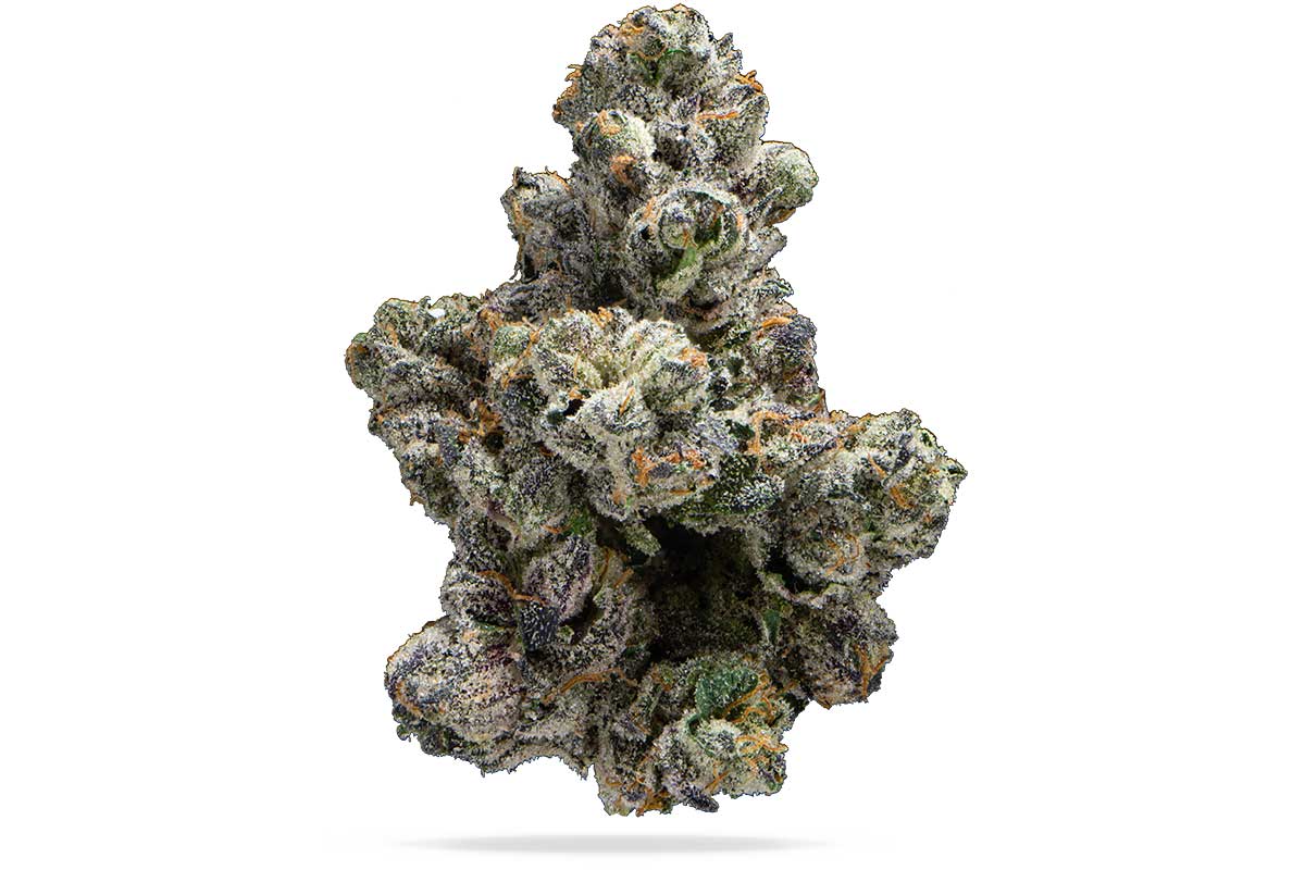 PG-Candy-Corn_MAIN_8.jpg?tr=f-webp