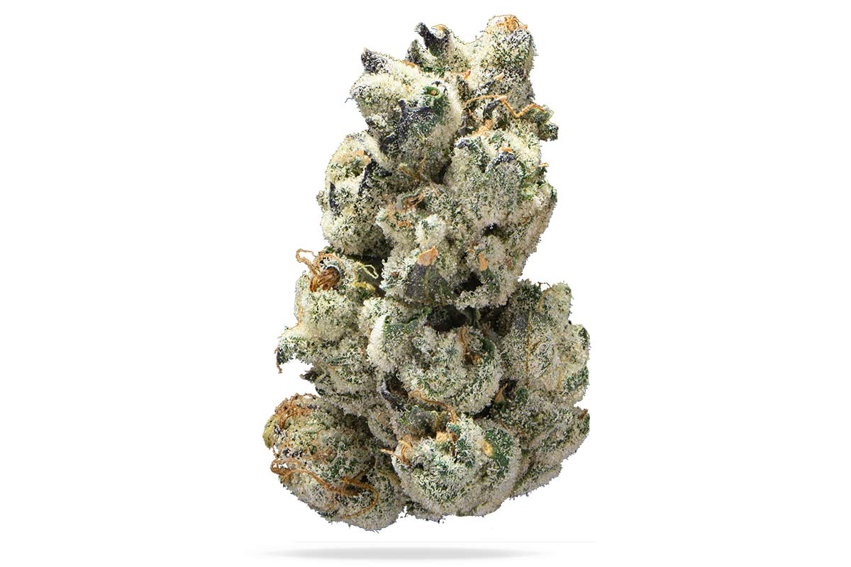 710-Main-garlic-coctail.jpg?tr 710-Main-garlic-coctail.jpg?tr