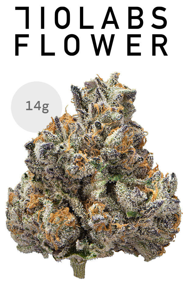 710 Labs 14g Flower - Jokerz #17 - The Flowery Shop