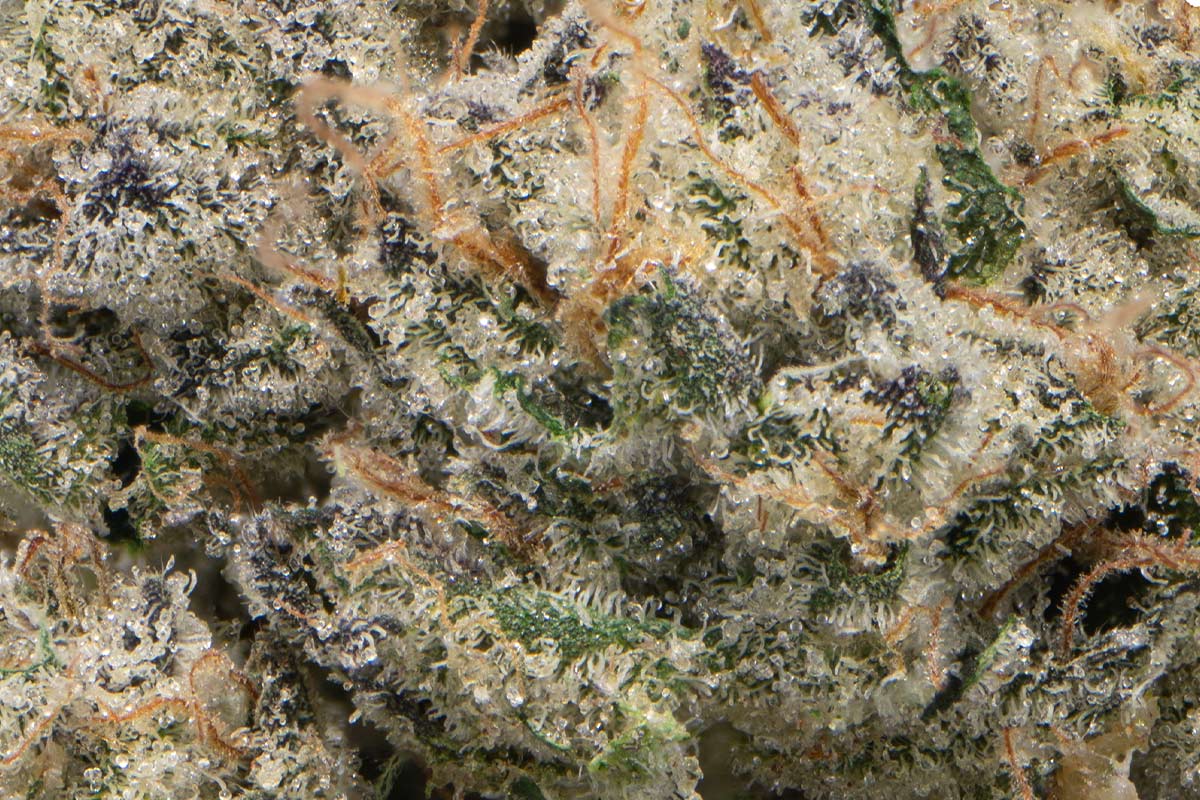 710 Labs 3.5g Flower - Triangle Mints - The Flowery Shop