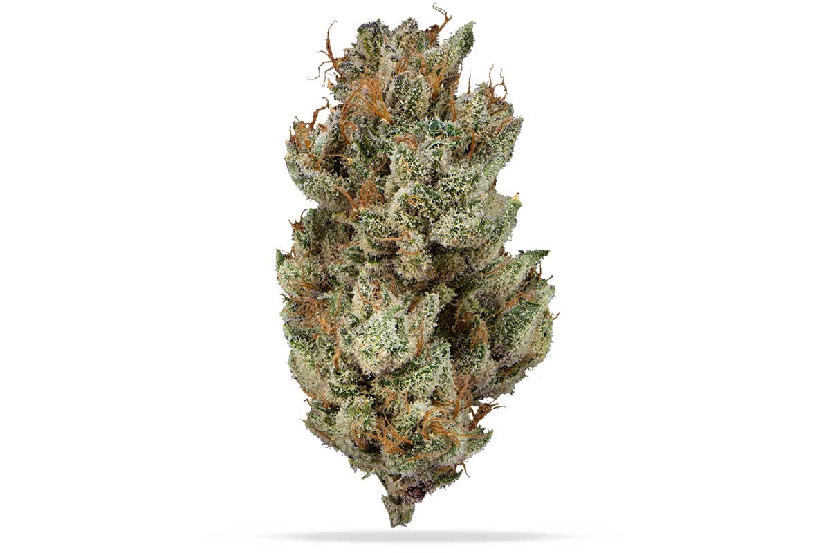 Juicy-cubes-14g-main.jpg?tr=f-webp