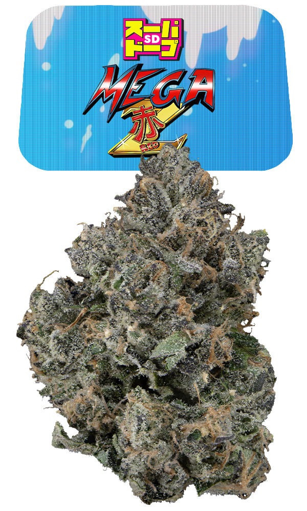 R&B CD4枚 Mega Rare!!! P.E.A.C.E MEGABITE CD LIKE NEW RARE OOP 800867102929| eBay