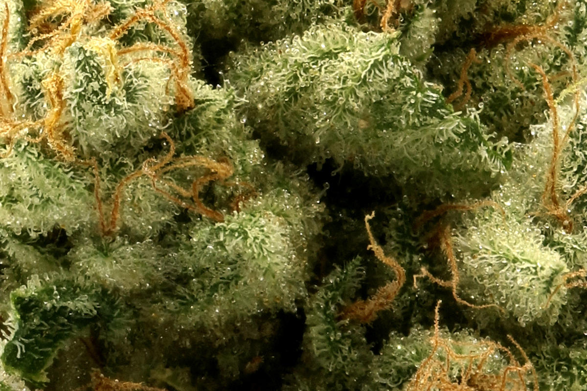 710 Labs 3.5g Flower - Z Cubed #5 - The Flowery Shop