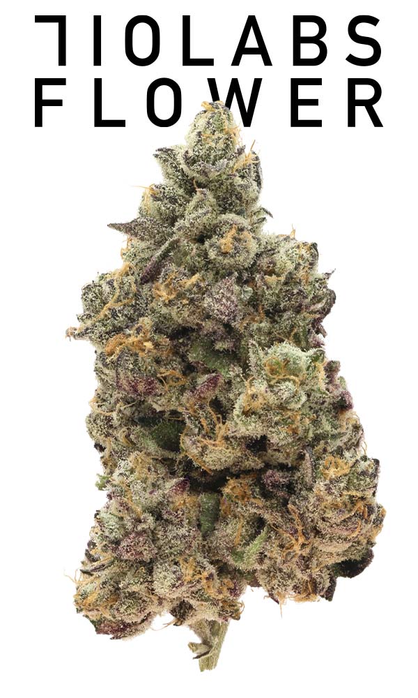 710 Labs 14g Flower - Rick Jamez #3 (mylar bag) - The Flowery Shop
