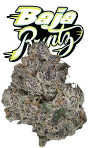 Baja Runtz Eighth