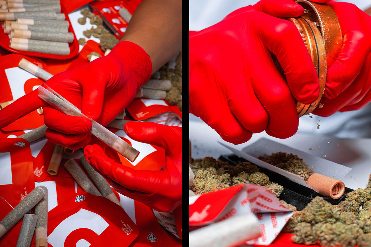 PG__0003_PG_2Gbrand2-2.jpg?tr=