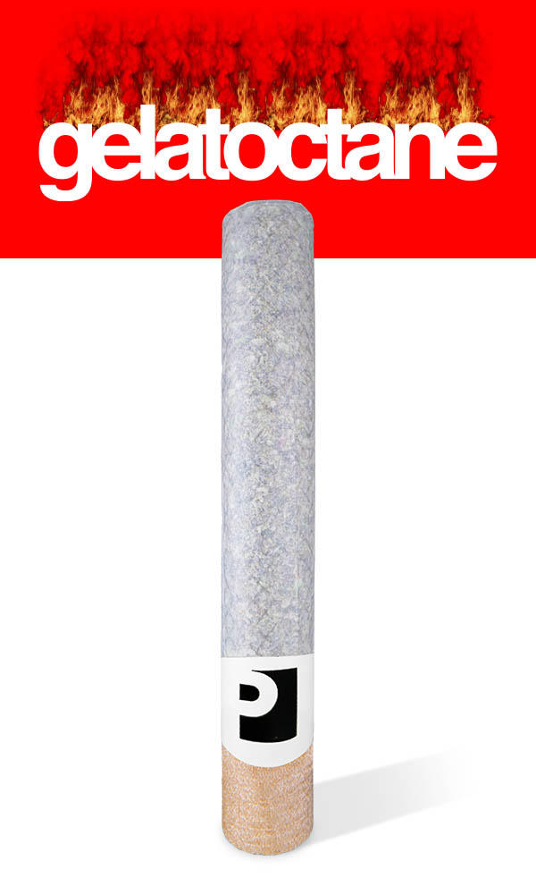 Preferred Gardens Handroll 2G - Geloctane - The Flowery Shop