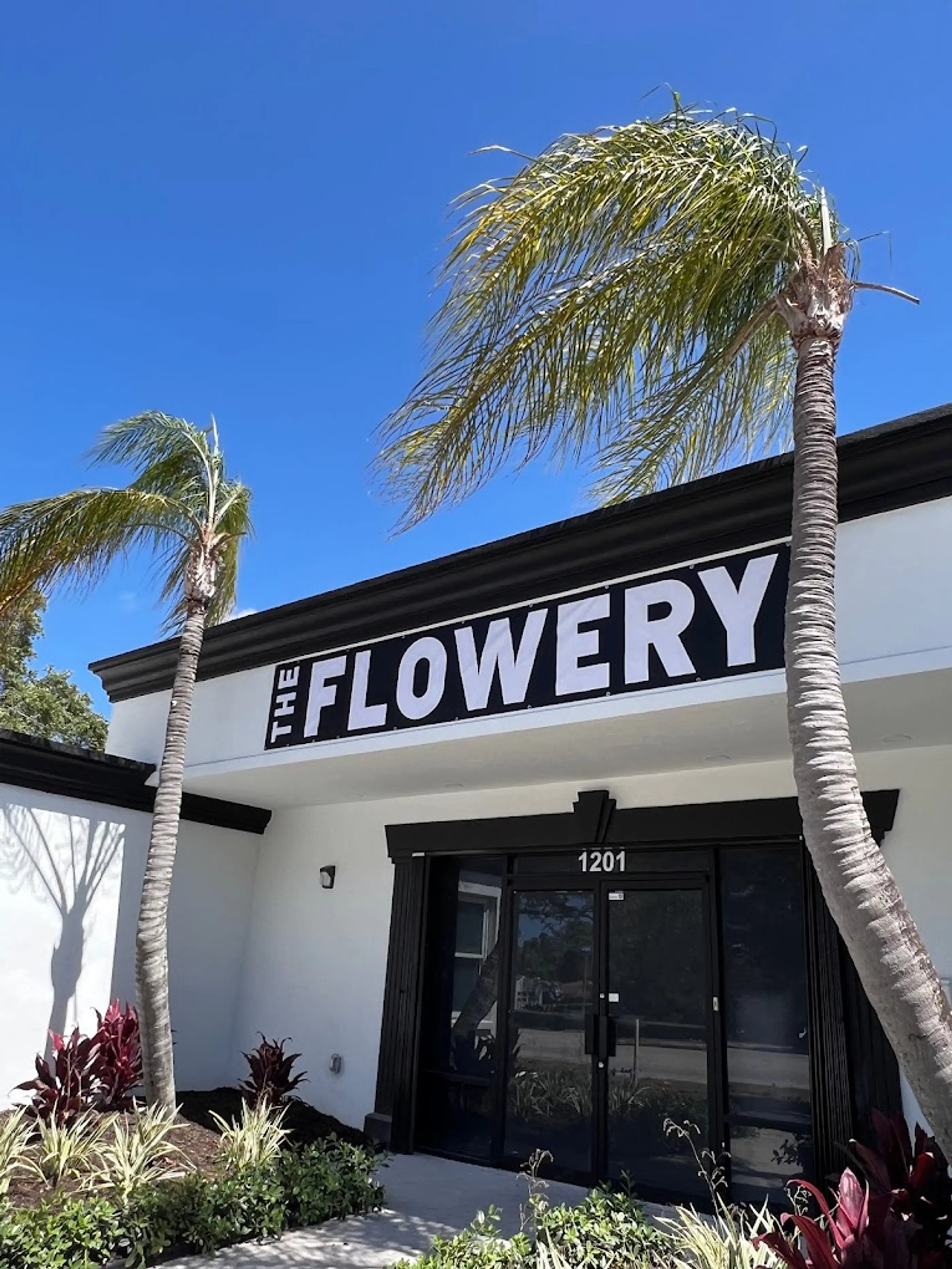 Clearwater - The Flowery location