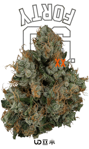 4G Flower - 40 OG