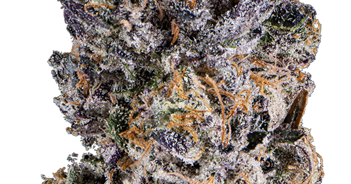 Znackz Eighth - The Flowery Shop