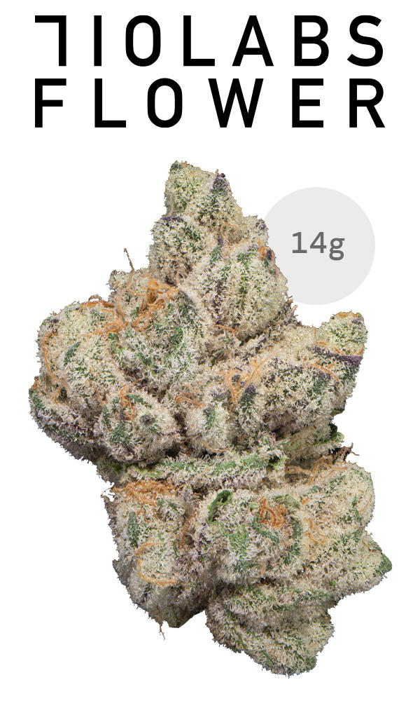 ケイパレス　　/ 畑 Zkittlez Cake Cannabis Strain Information - GrowDiaries