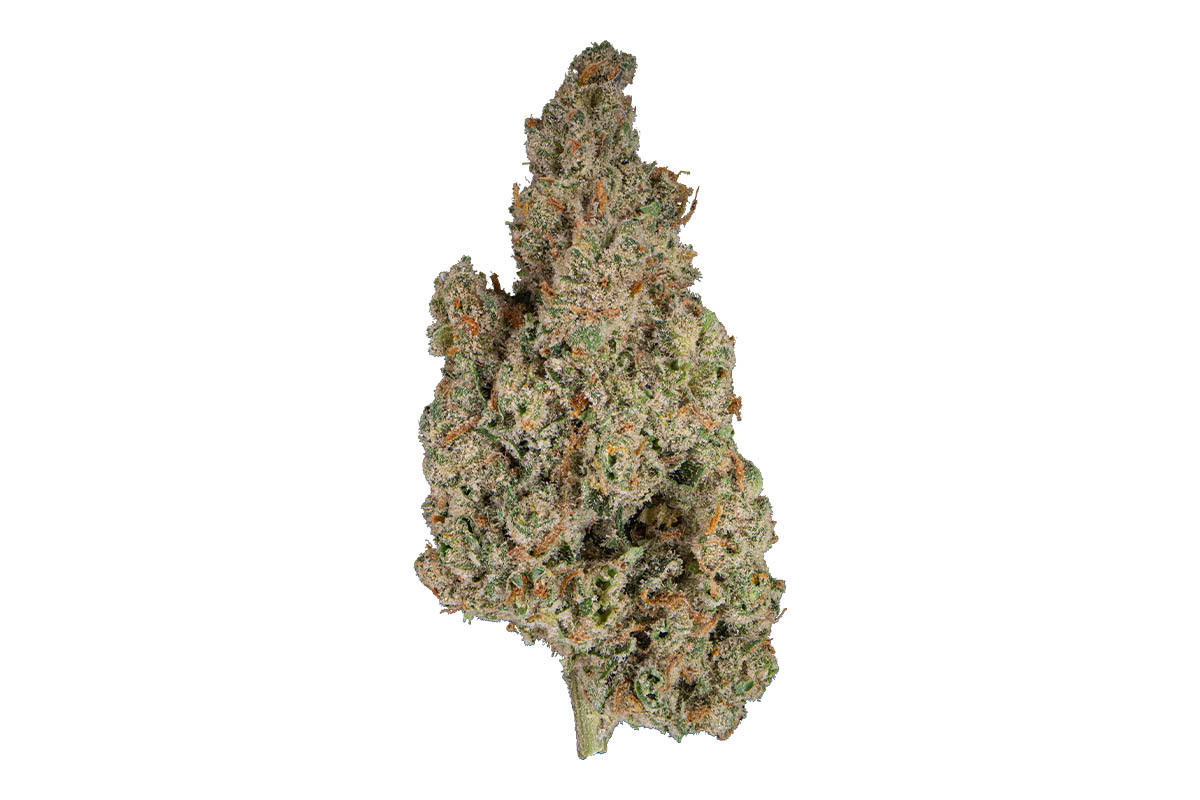 【Sativa】 Jack Herer 1ml CBD 05 Jack Herer Eighth - The Flowery Shop