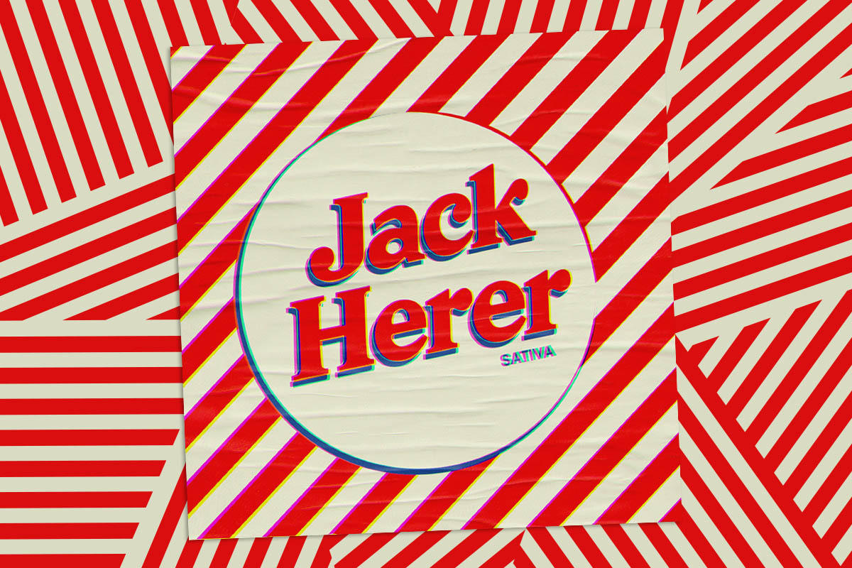 【Sativa】 Jack Herer 1ml CBD 06 Flower | Jack Herer 1g Flower | Cannabis Nation |