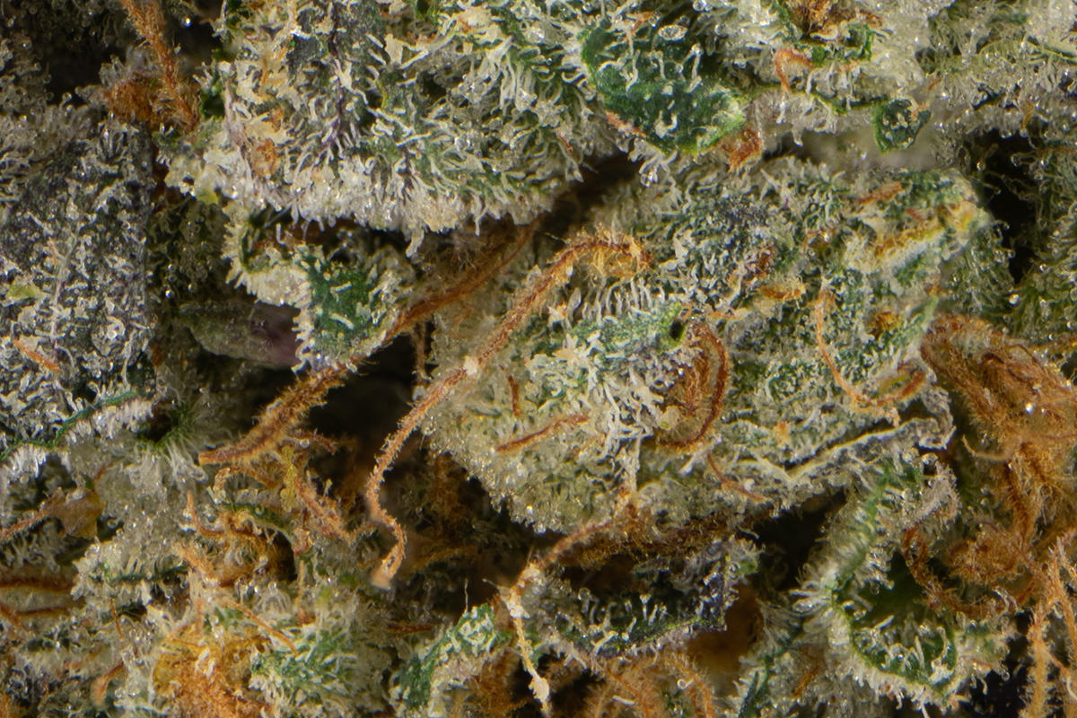 710-labs-cold-creek-kush-macro