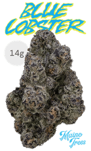 Maine Trees 14g Flower - Blue Lobster