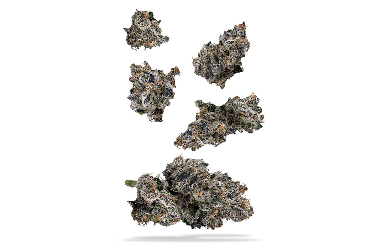 Lemon Cherry Guava 7g Juniors - The Flowery Shop