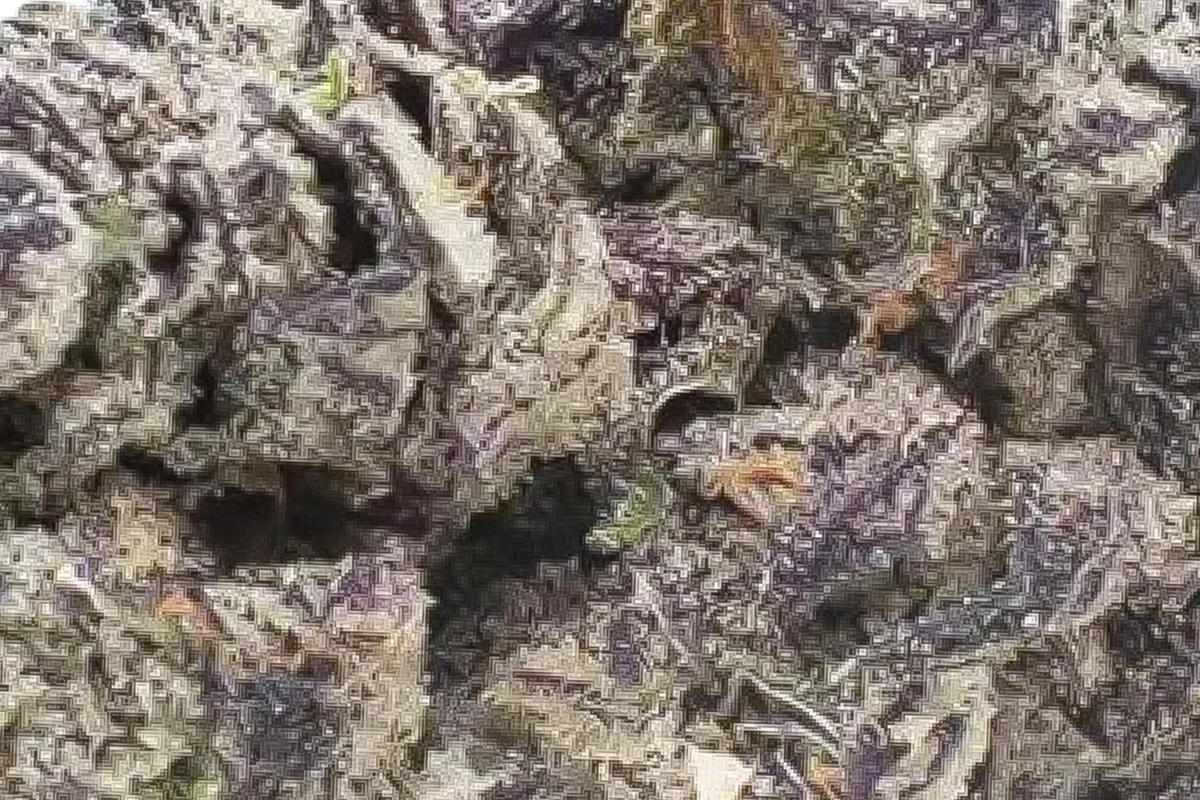 710 Labs 14g Flower - Zimosa #2 - The Flowery Shop