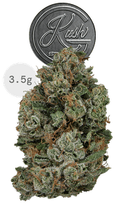 Josh D 3.5g Flower - OG Kush Story: Josh D OG