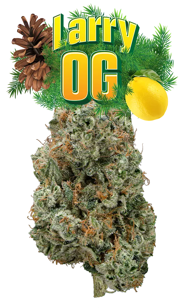Larry OG Eighth (Glass Jar)