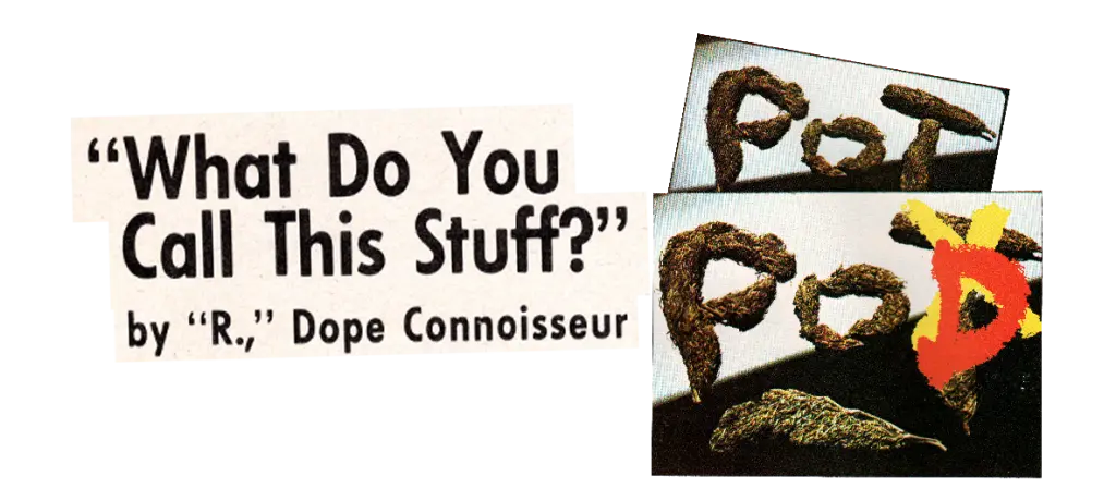 article