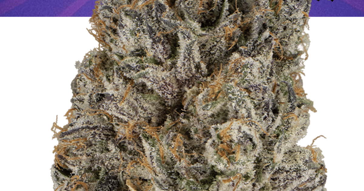 Josh D 3.5g Flower - Sunkiss #22 (Glass Jar) - The Flowery Shop