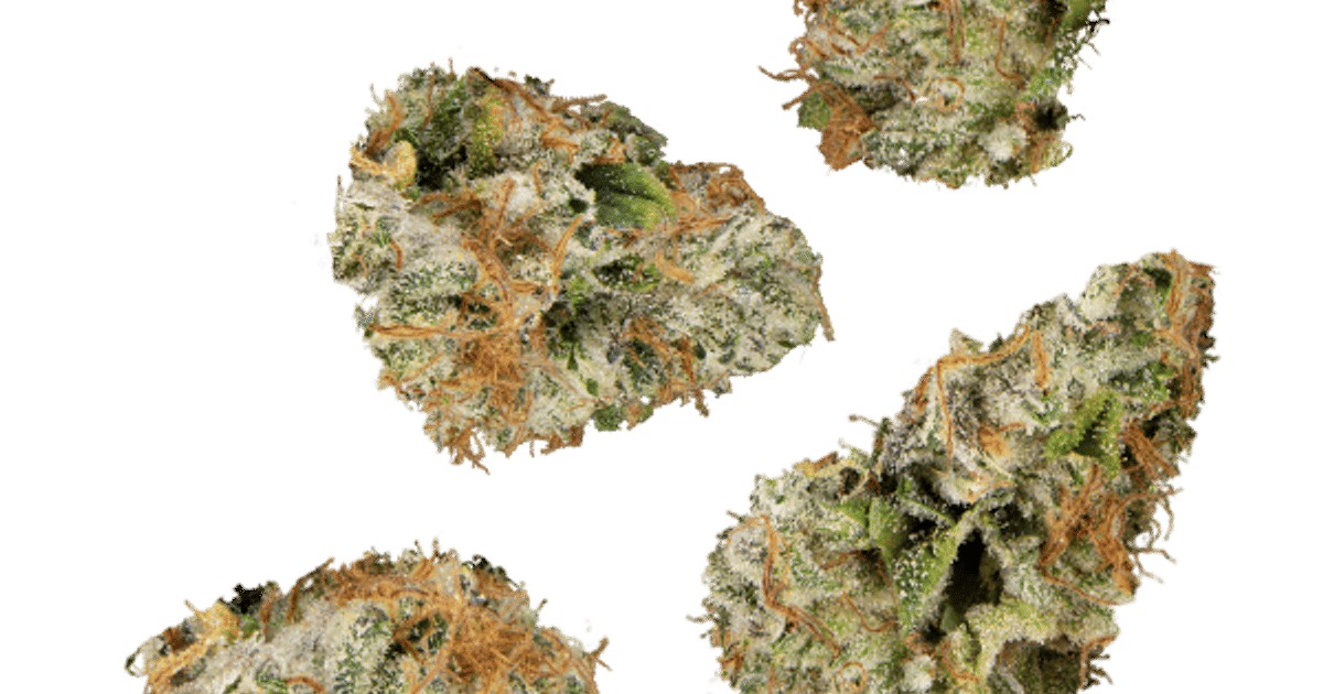 Nirvana #6 7g Juniors - The Flowery Shop