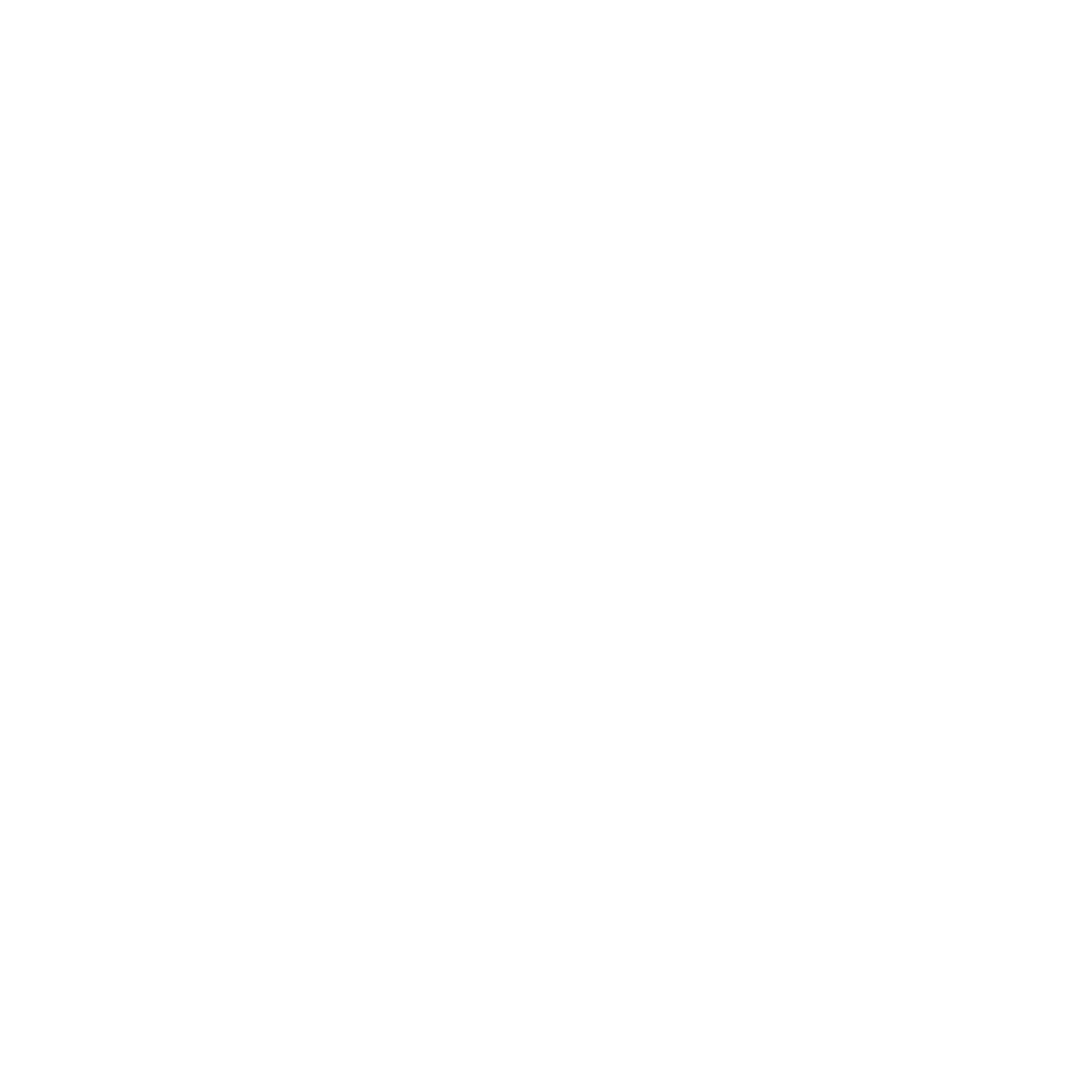 Salwa Collective
