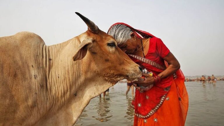 गोधन पर निर्भर मानव जीवन का अस्तित्व