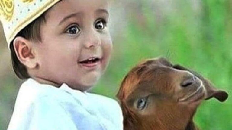 कटते जानवर मनते त्यौहार