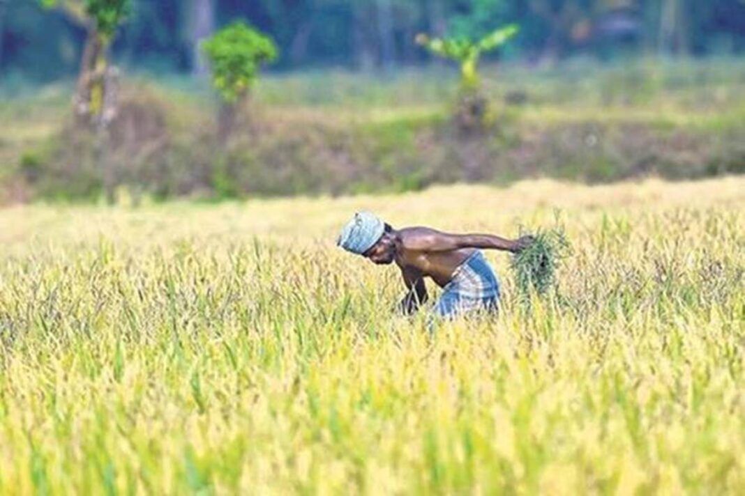 कृषक कानून और बदहाल किसान