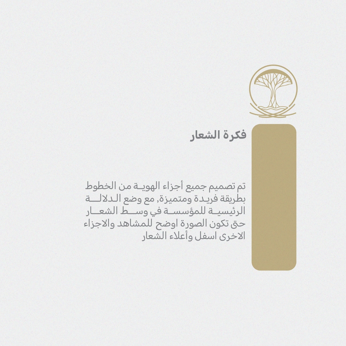 logo Socotra Foundation - شعار مؤسسة سقطرى