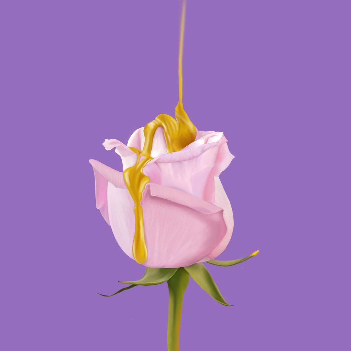 زهرة