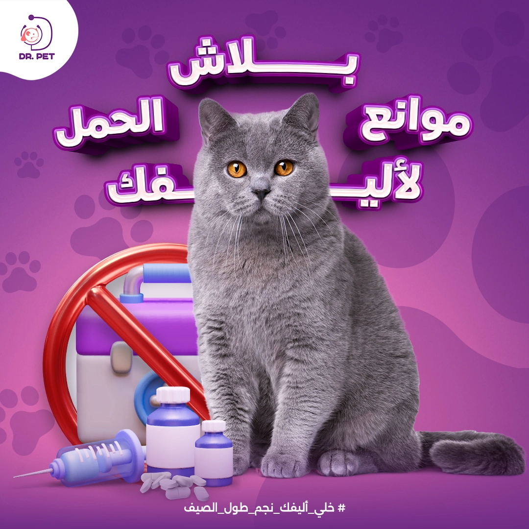 تصميم سوشيال ميديا وموشن جرافيك ثنائي الأبعاد