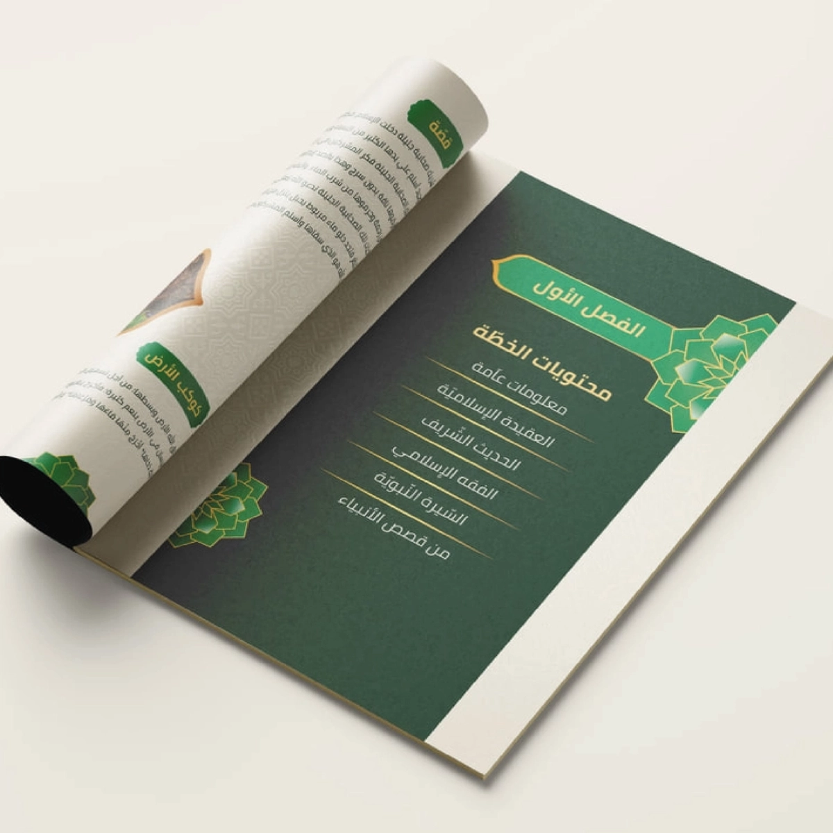 تصميم الكتب والمجلات والمطبوعات
