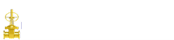 PM Valve Logo