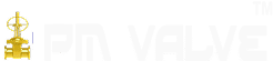 PM Valve logo