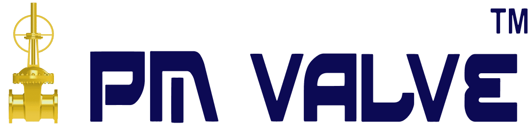 PM Valve logo
