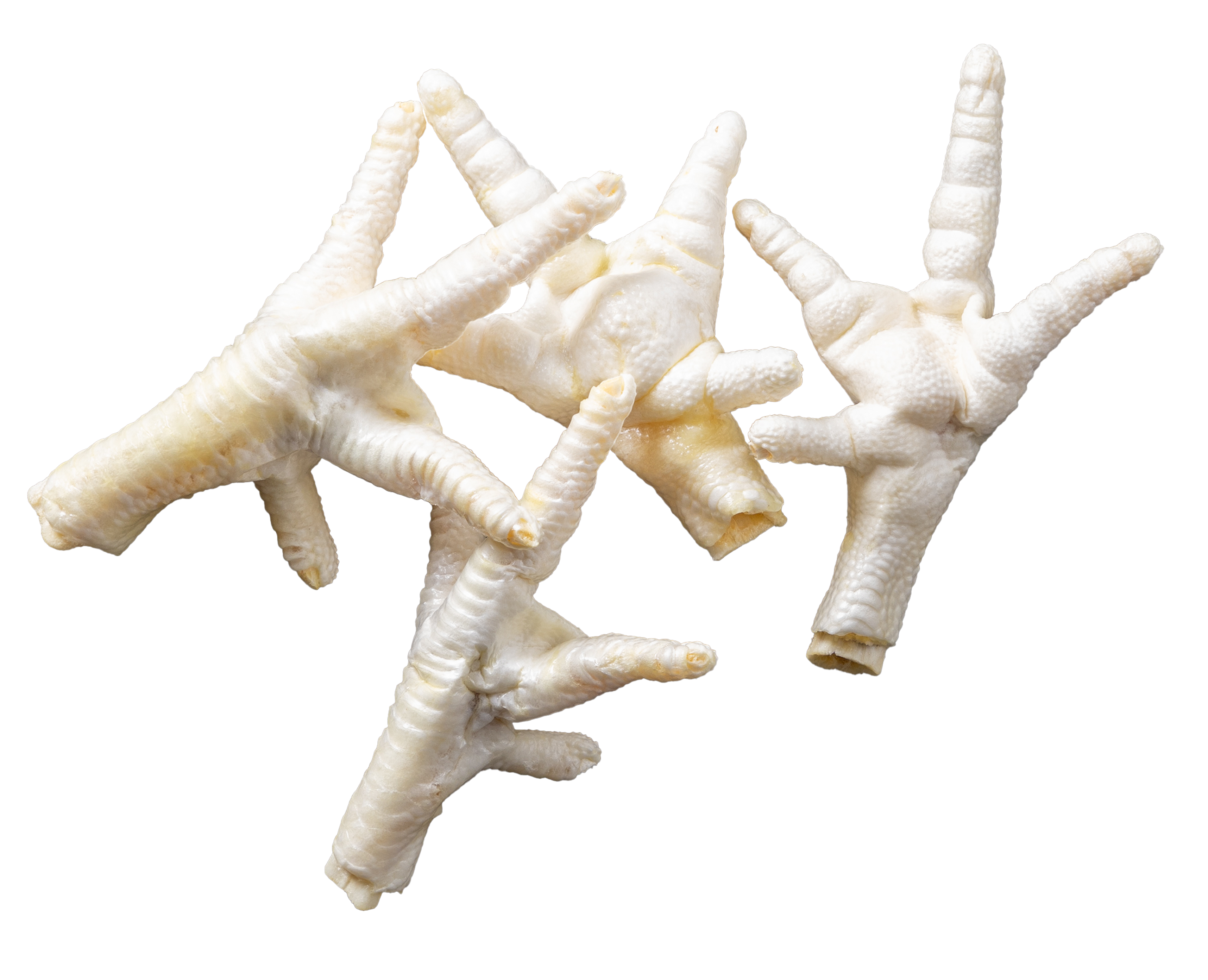 Exotic & Animal parts