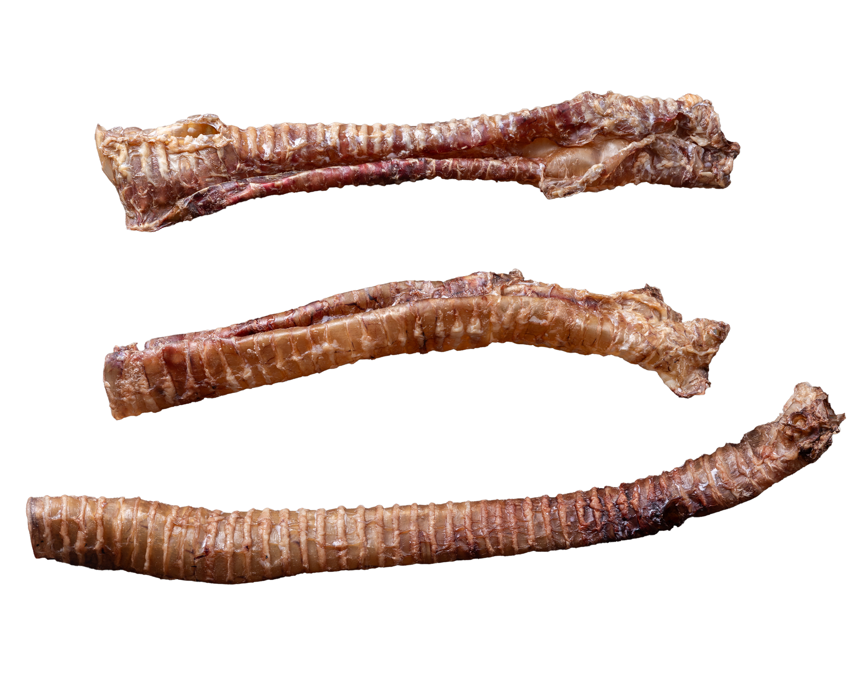 Exotic & Animal parts