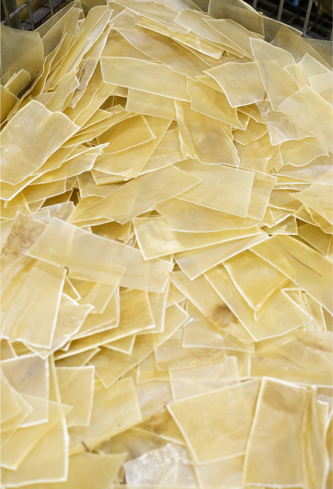 pet food