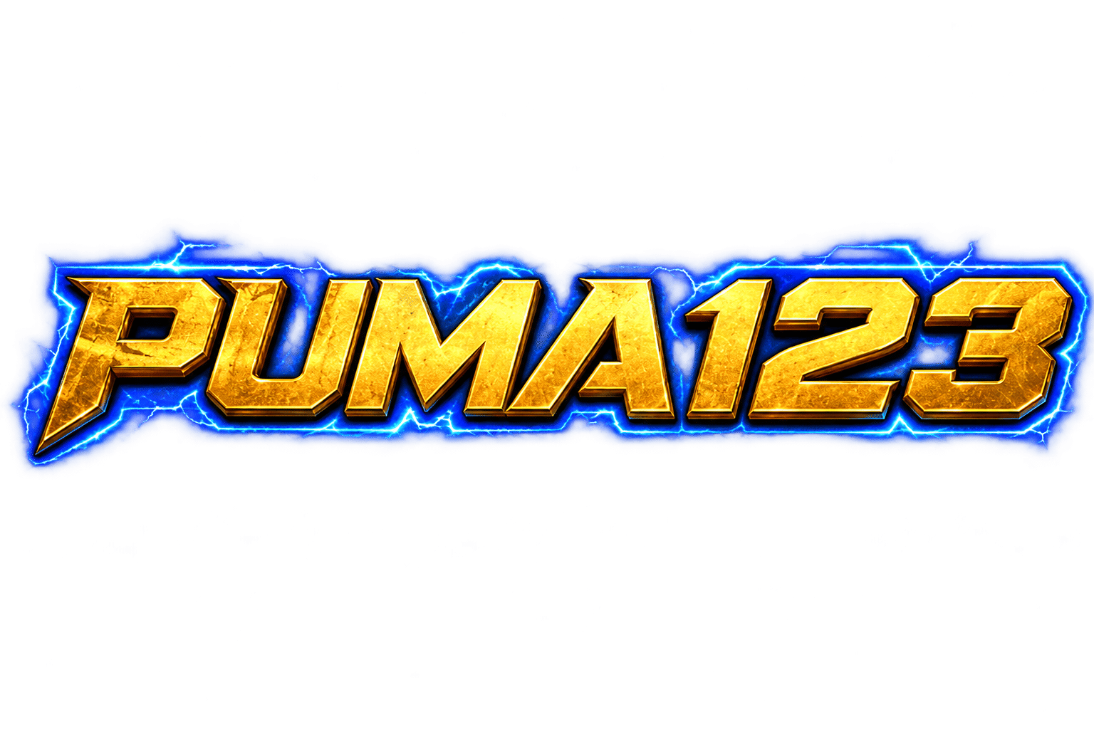 PUMA123 logo